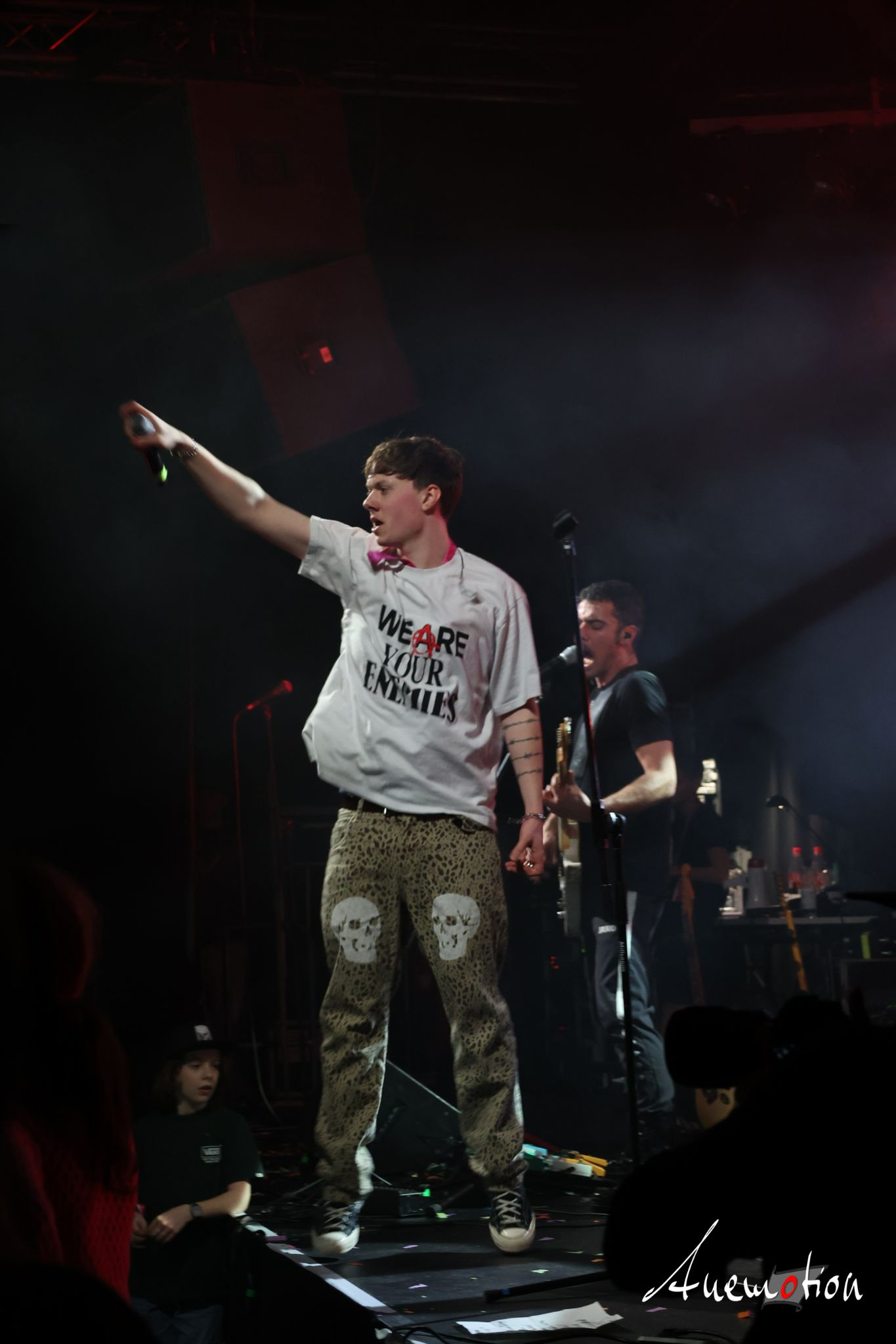 ElephantsFalling (88)